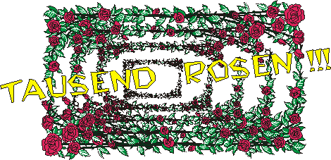 1000-Rosen